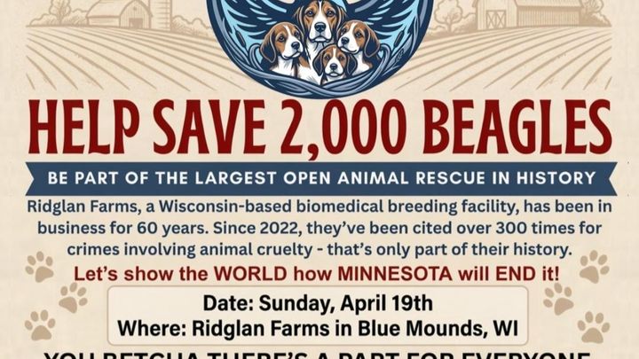 Rescue Mission for 2,000 Beagles campaign photo, 1 of 8