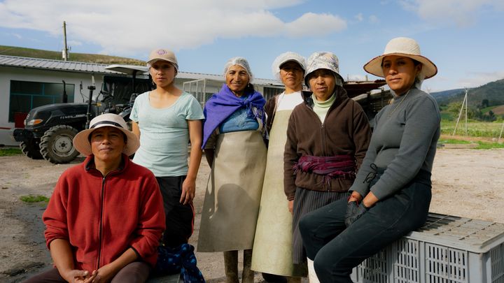 Agricultura sostenible dirigido por mujeres ecuatorianas campaign photo, 1 of 2
