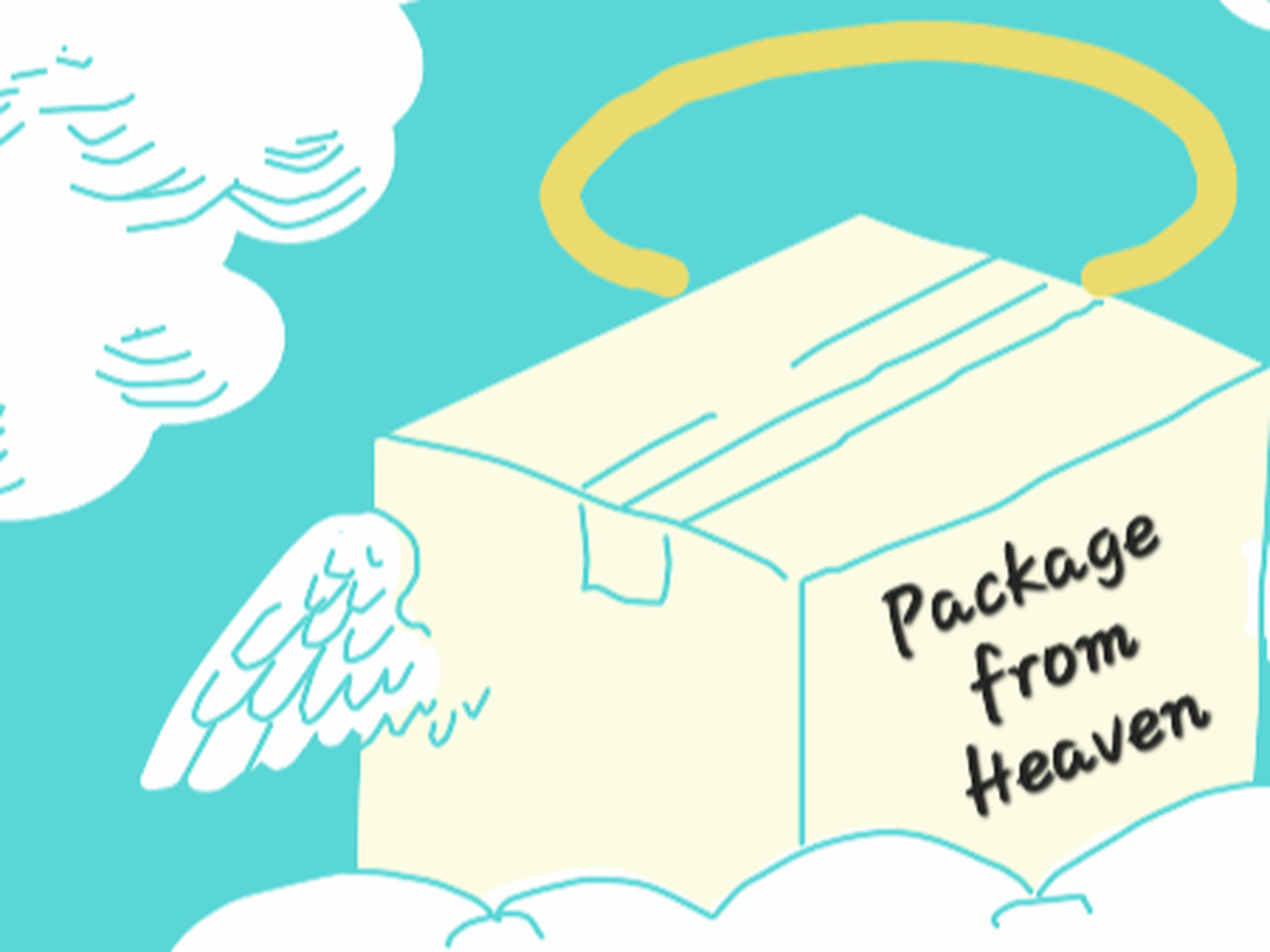 Fundraiser for Package From Heaven by Amy Williams : Package from Heaven  honor of A1C Hayley Reynolds