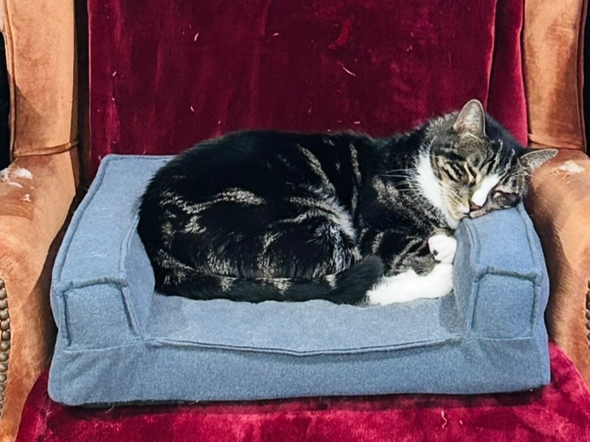 Fundraiser’s main image