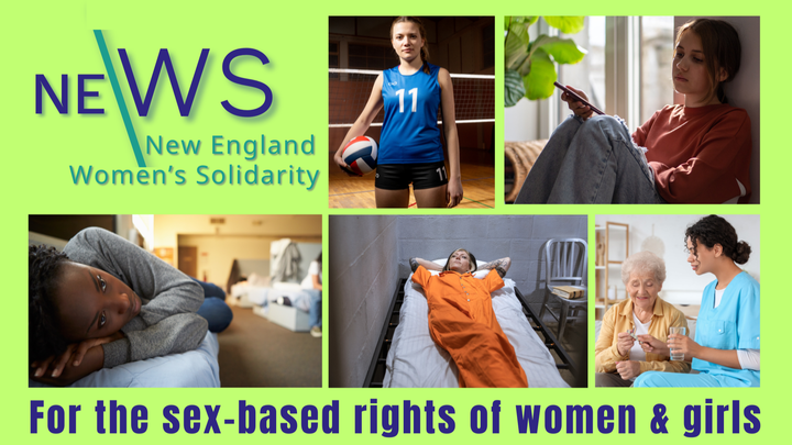 Help Us Protect Women's Rights in New England campaign photo, 1 of 3