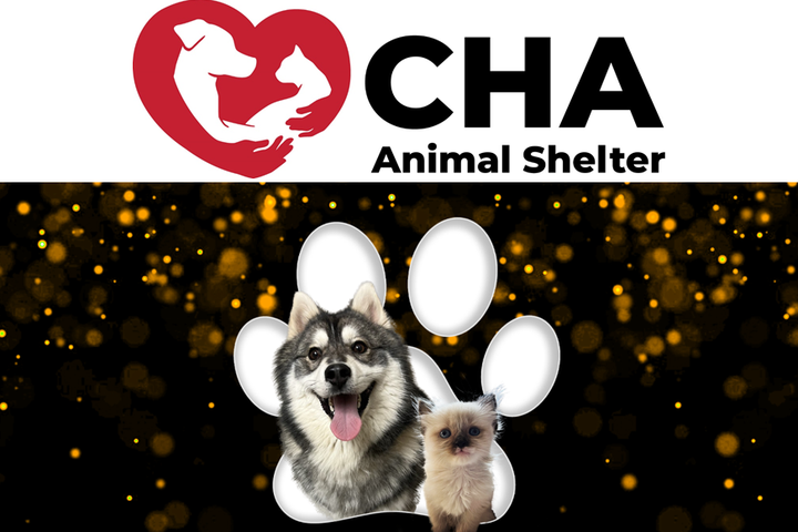 Fundraiser by CHA Animal Shelter Donate to CHA s Emergency