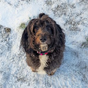 Ruby Swales
