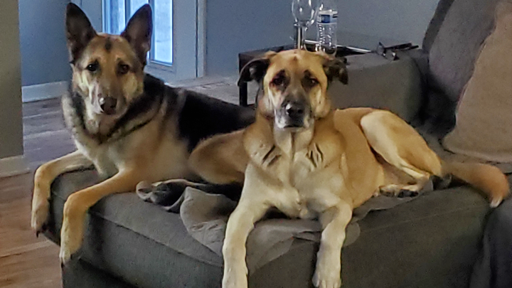 Help me bring my babies home healthy and happy! campaign photo, 1 of 5