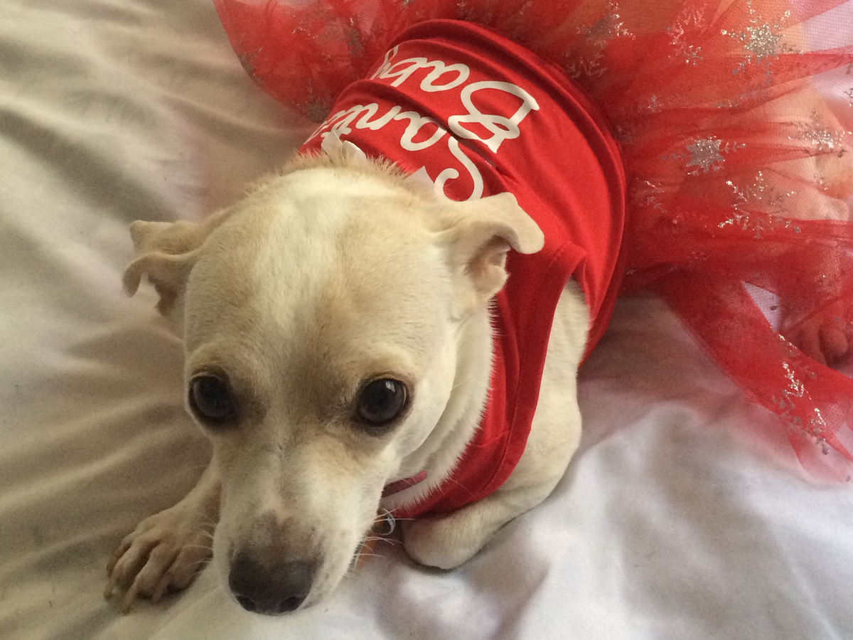 Fundraiser’s main image