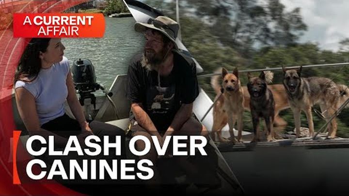 He was trying to help thirsty dogs, now his boat is ruined video thumbnail, 1 of 3