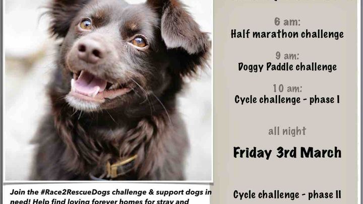 Main fundraiser photo
