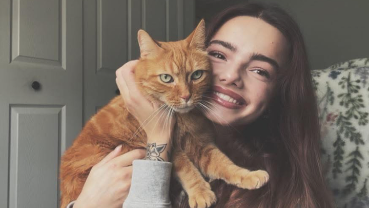 Love for Levi: Giving a Loving Cat a Healthy Future campaign photo, 1 of 6