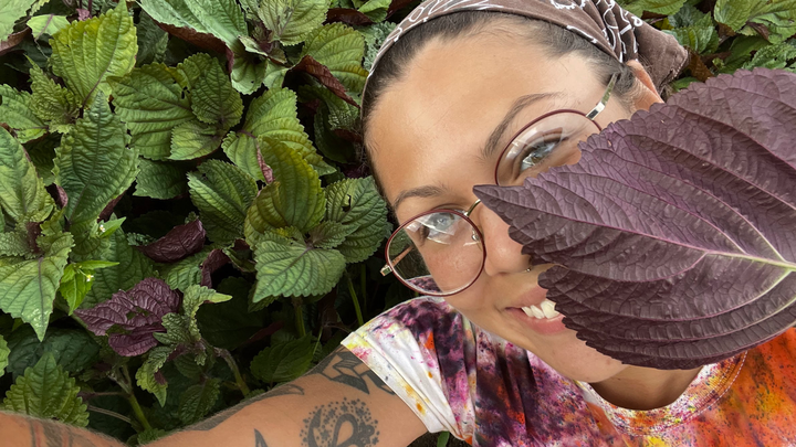 Medical and Vehicle Support For Sea Matias campaign photo, 1 of 8