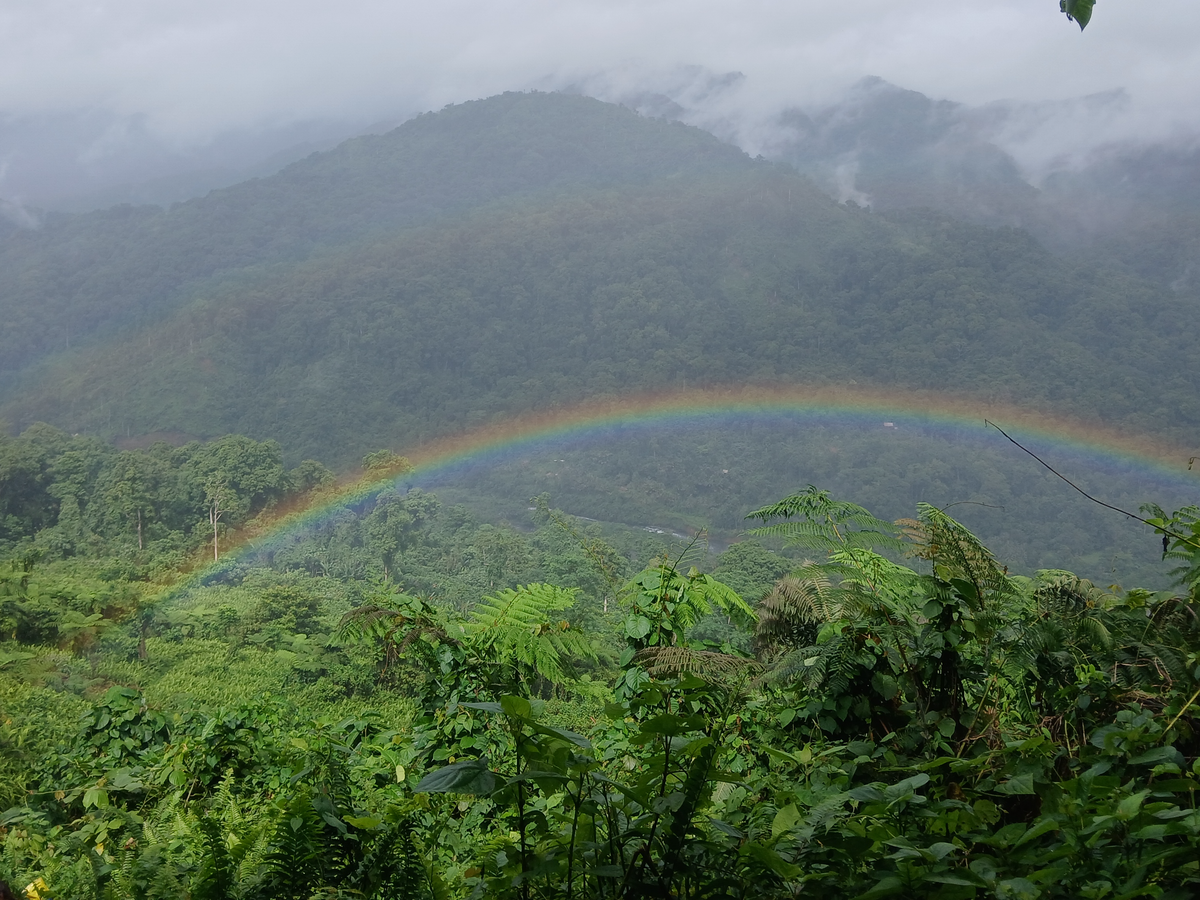 Fundraiser by Reuben Rees : Solomon Islands Mission Trip 2026