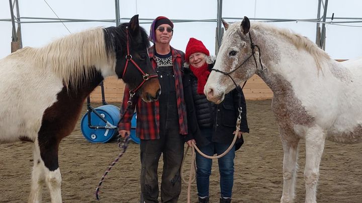 Support Shelly & Warren - Big Top Equestrian Rebuild campaign photo, 1 of 8