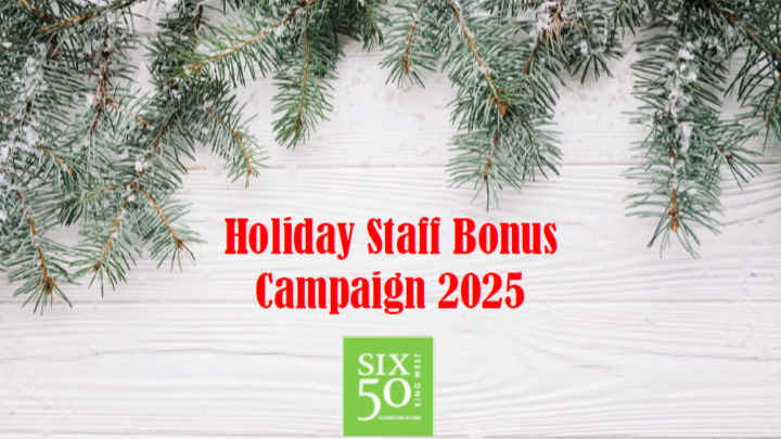 Six50 King Staff Holiday Bonus campaign photo, 1 of 2