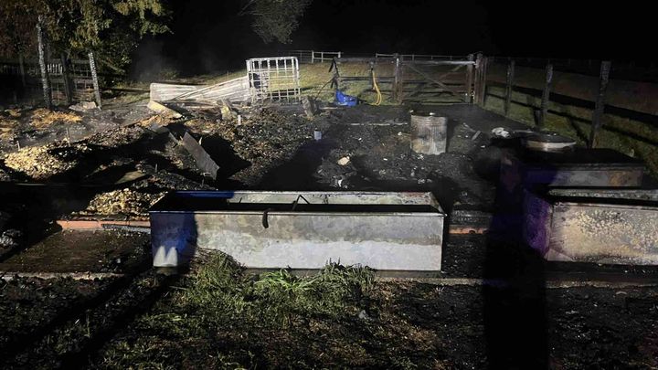 Help with my Mums stable yard after it burnt down campaign photo, 1 of 11