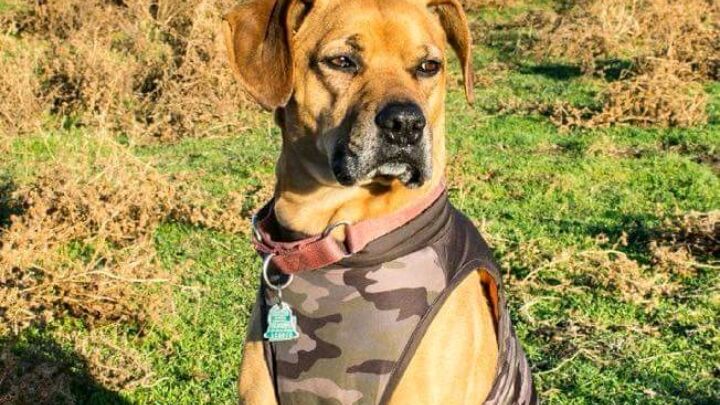 Main fundraiser photo