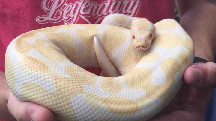 Main fundraiser photo