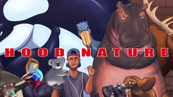 Help Me Save the Turtles For My Birthday (TSA) campaign photo, 1 of 3