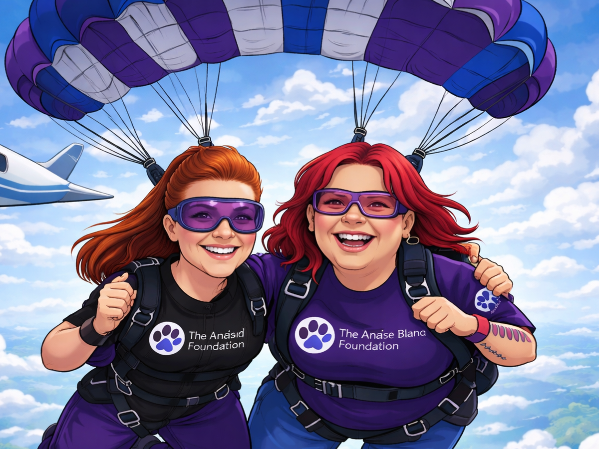 Fundraiser’s main image