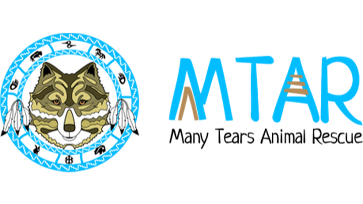 Payroll Options Charity Day 2025 - MTAR campaign photo, 1 of 4