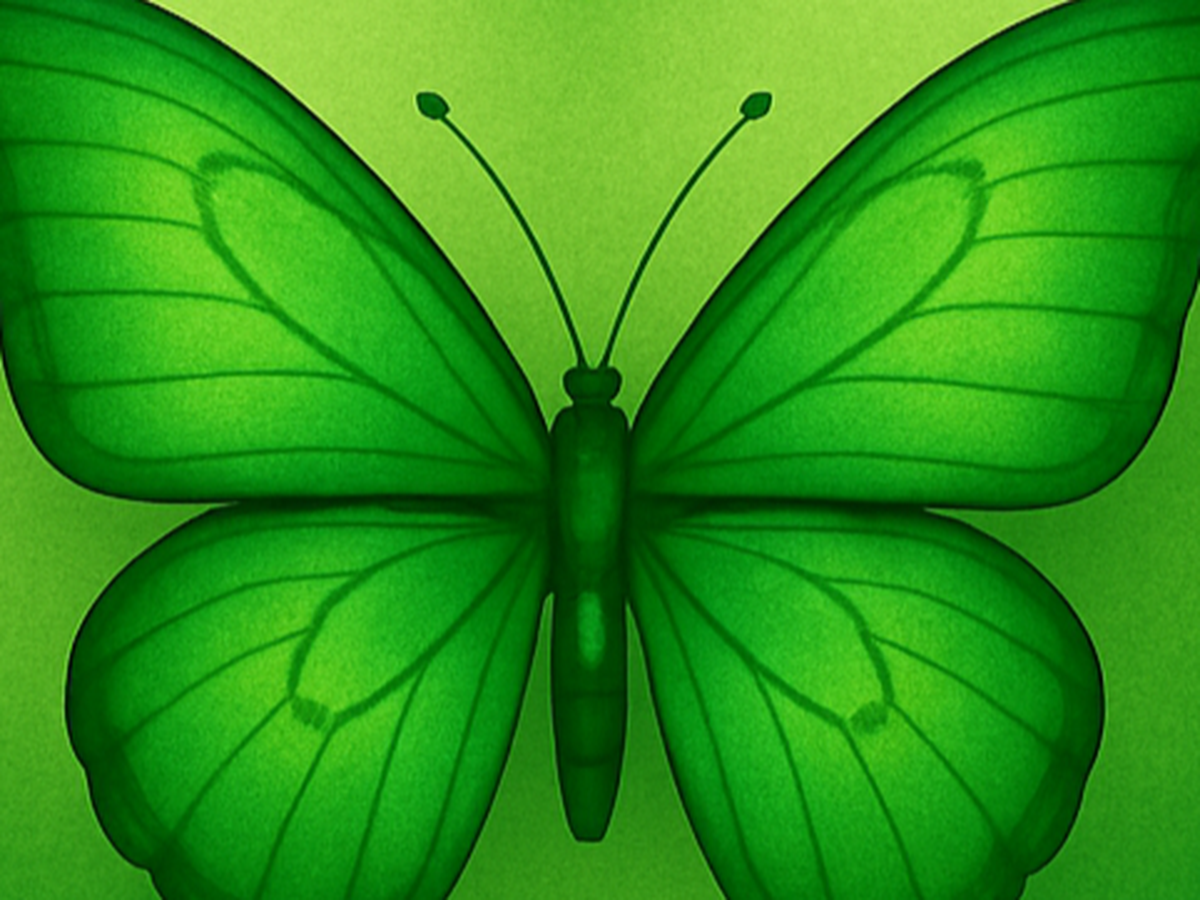Fundraiser’s main image