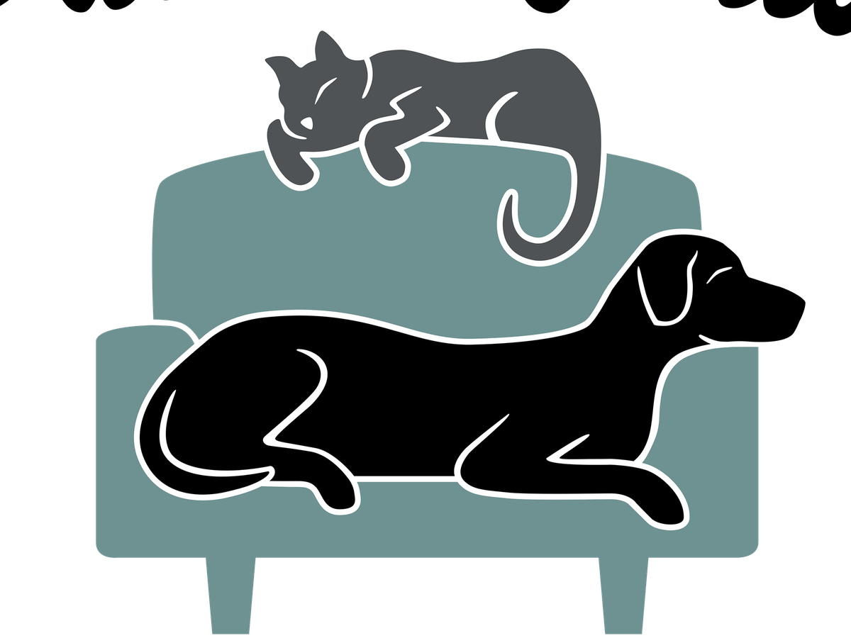 Fundraiser’s main image