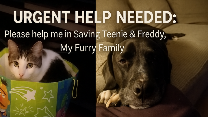 Urgent Help Needed: Please help me in Saving Teenie & Freddy campaign photo, 1 of 7