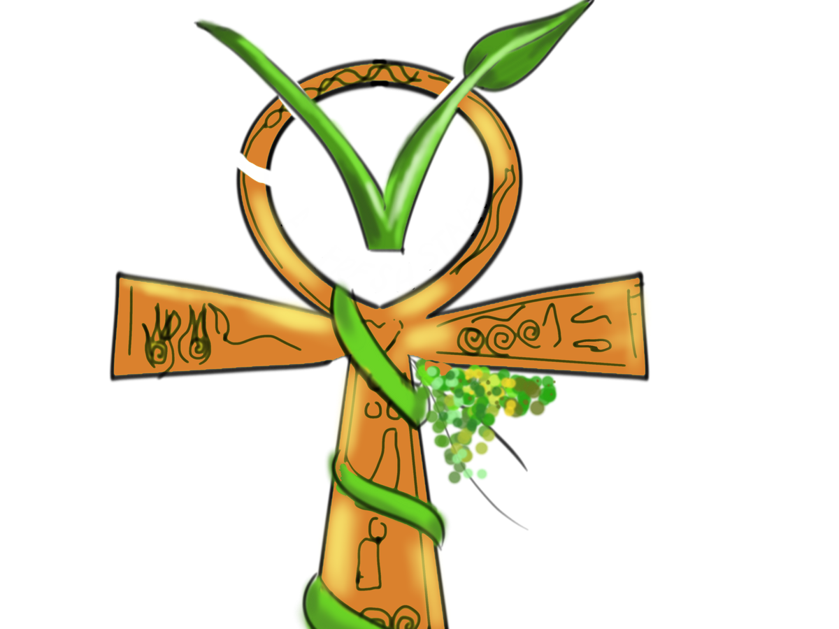Fundraiser’s main image