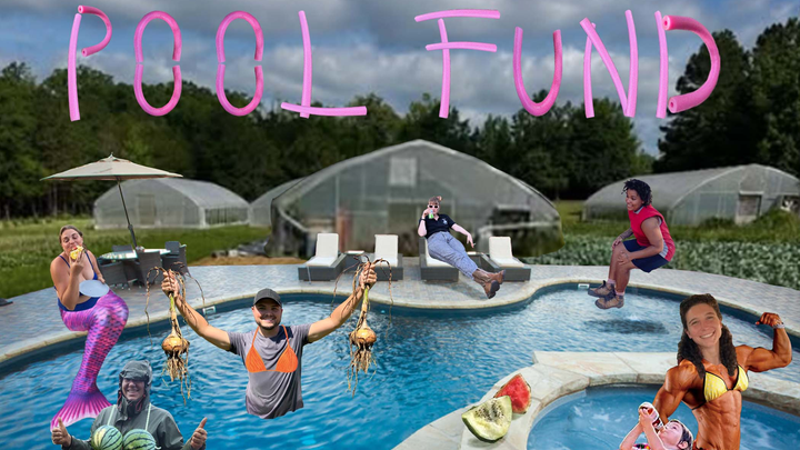 Rag & Frass Farm is building a pool! campaign photo, 1 of 8