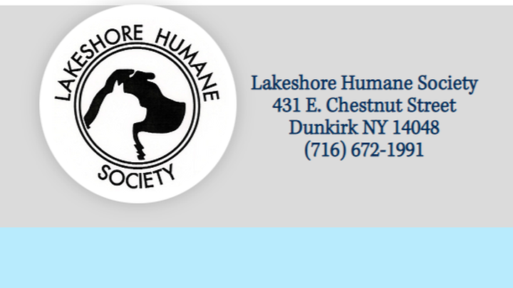Lakeshore Humane Society, organized by Lindsey Moon