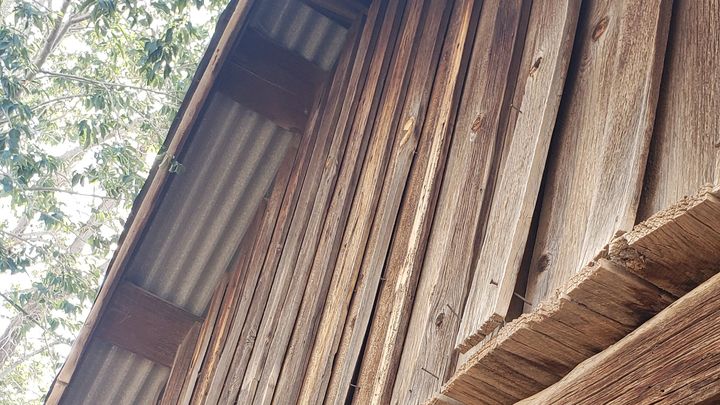 Foto de la campaña Lemonade Living Homestead Cabin Fund, 1 de 3