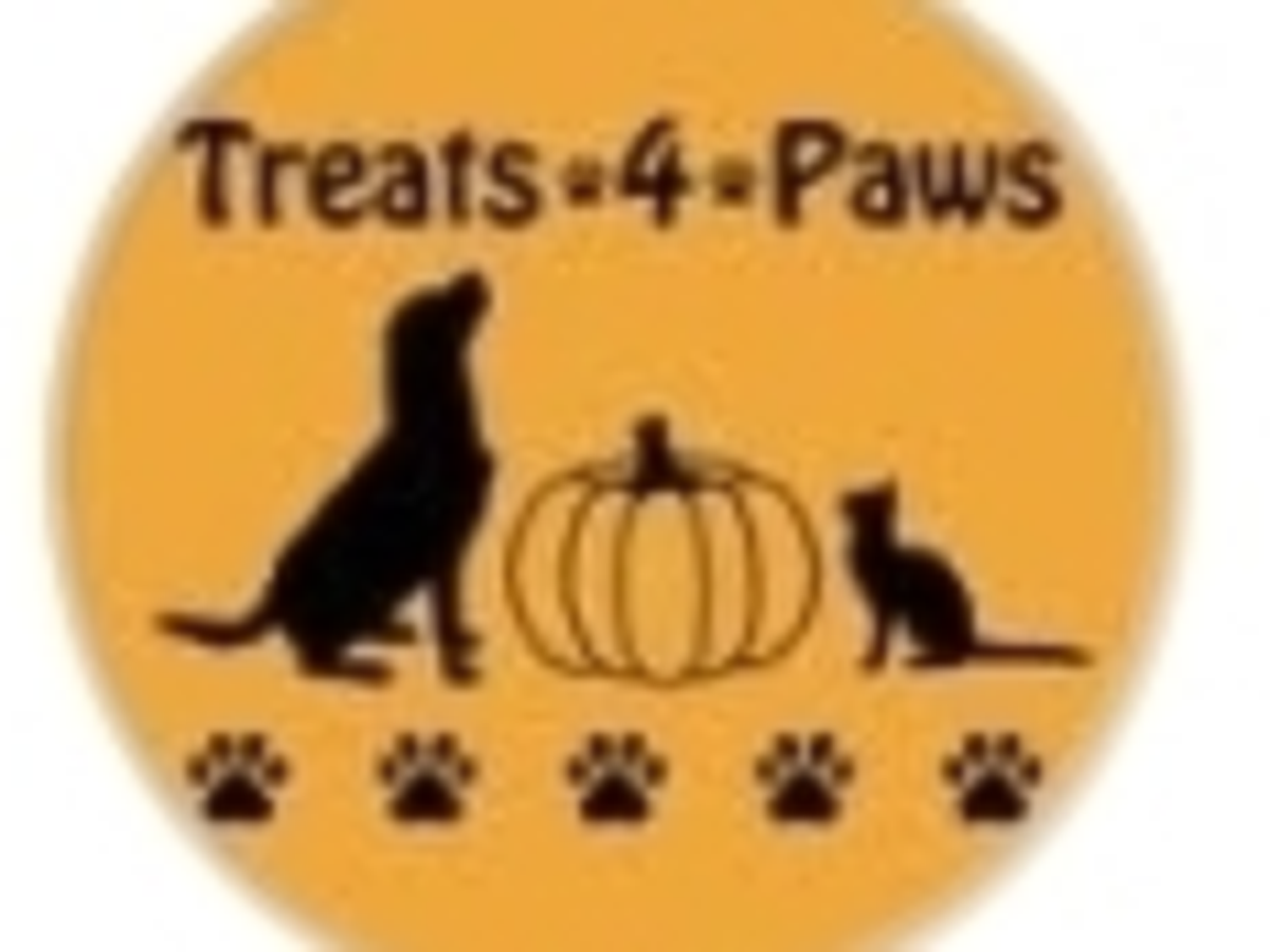 Fundraiser’s main image