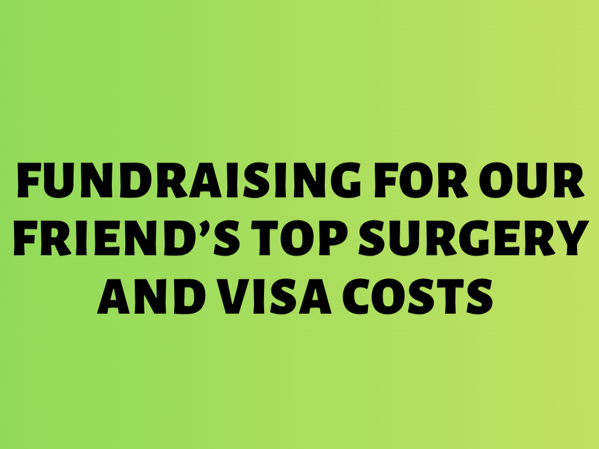 Fundraising for our friend's top surgery and visa costs campaign photo, 1 of 3