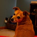 Profile photo of Leah Mocsy