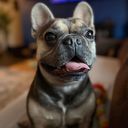 Profile photo of Tina Renee