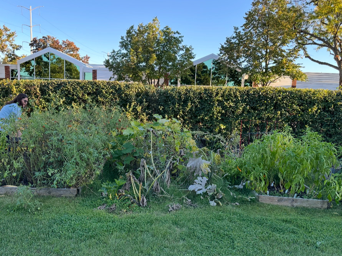 Build a Garden for the Northbrook Cancer Wellness Center campaign photo, 1 of 3