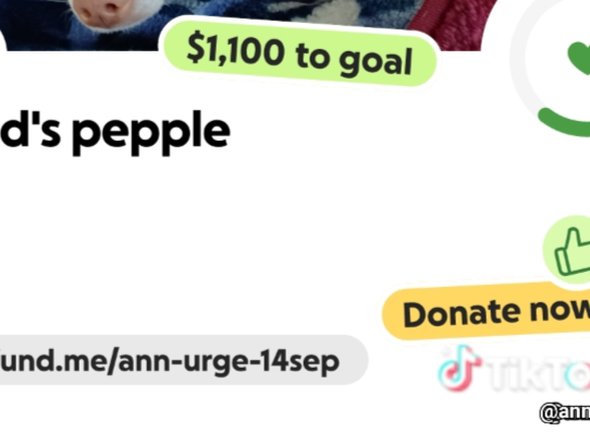 Fundraiser’s main image