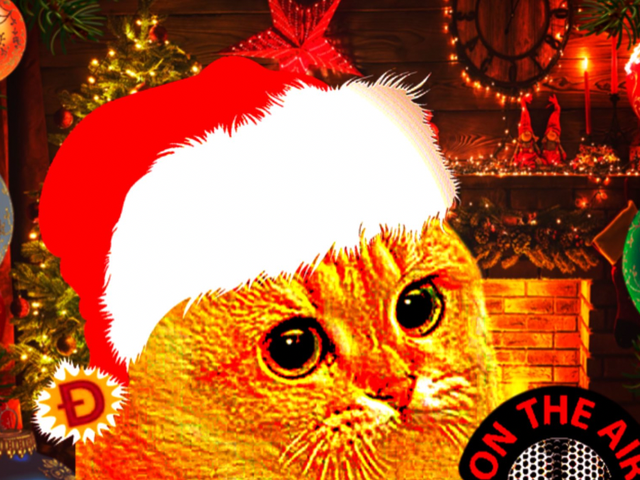 Fundraiser By Matthew Simon Children S Christmas Holidoge Fundraiser