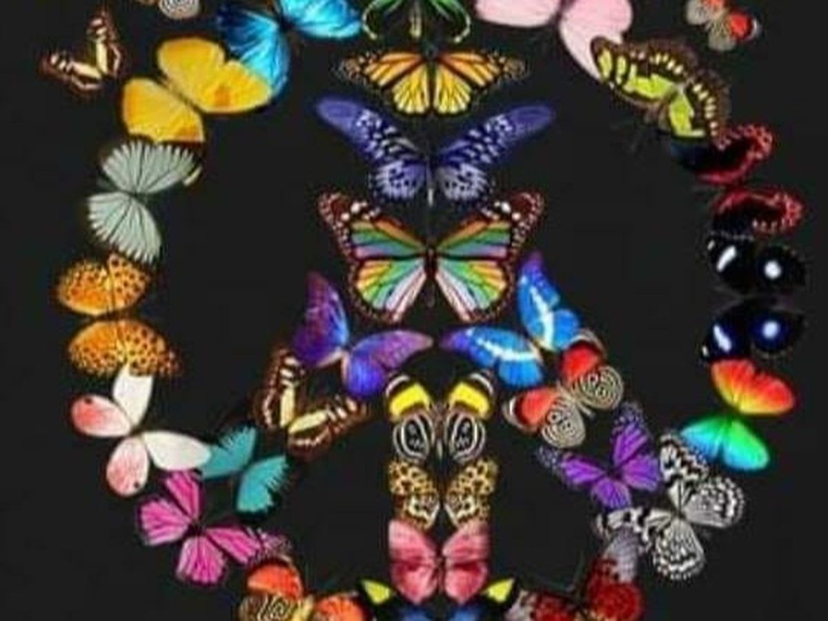 Fundraiser’s main image