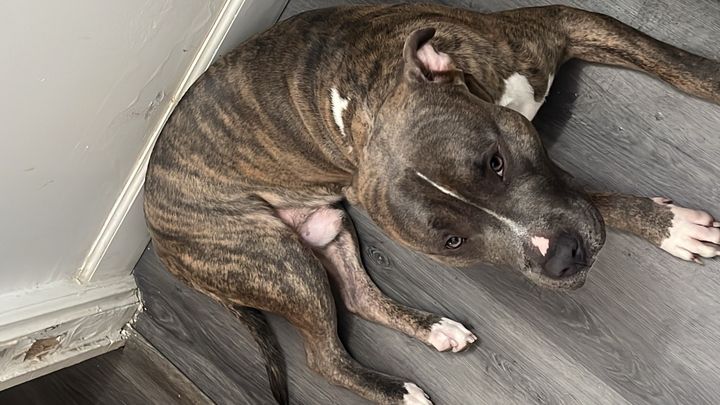Help Kadoe Get Lifesaving Medical Care campaign photo, 1 of 7
