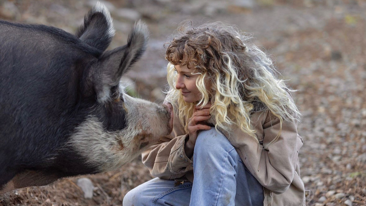 Foto van campagne Donate to Little Snout’s Medical Bills and Sanctuary Dream, 1 van 8