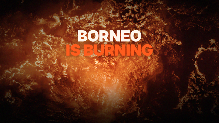 Stand With the People Fighting Back The Borneo Wildfire