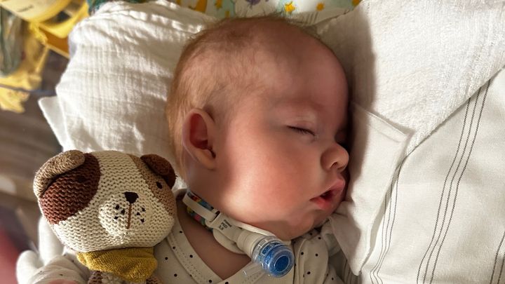 Unser kleiner Kämpfer Linus braucht Hilfe