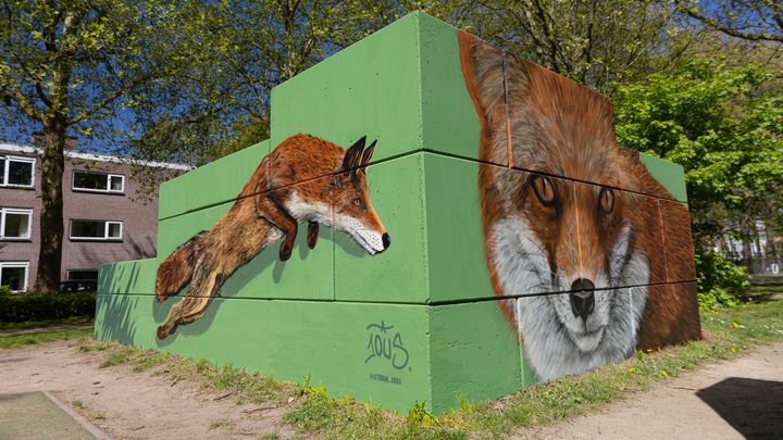 Foto van campagne Muurschildering openbaar sportpark Nobelweg, 1 van 8