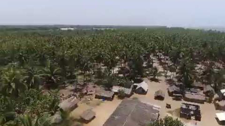 Assinie Mama - A paradise in peril video thumbnail, 1 of 8