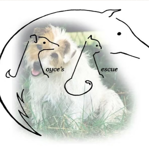 Royce’s Rescue