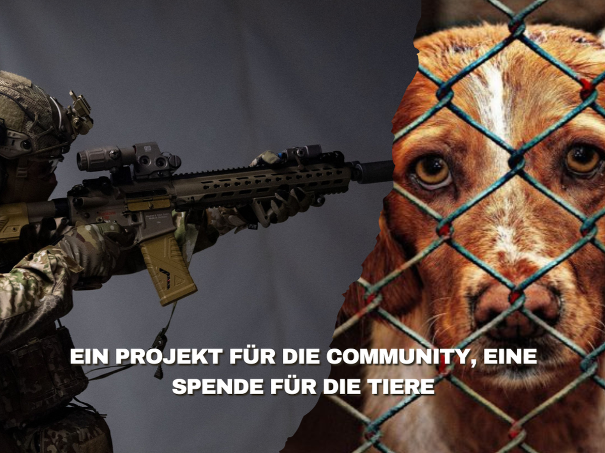 Fundraiser’s main image