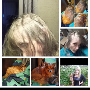 Tammy parris ( Petry)