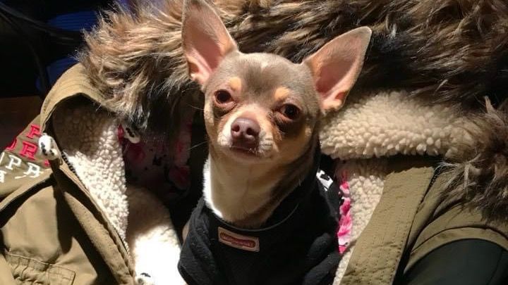 Main fundraiser photo