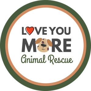 Love You More Animal Rescue