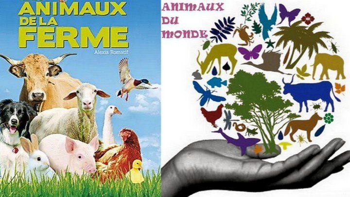 POUR TOUS LES ANIMAUX ET HUMAINS (FAIM) campaign photo, 1 of 3