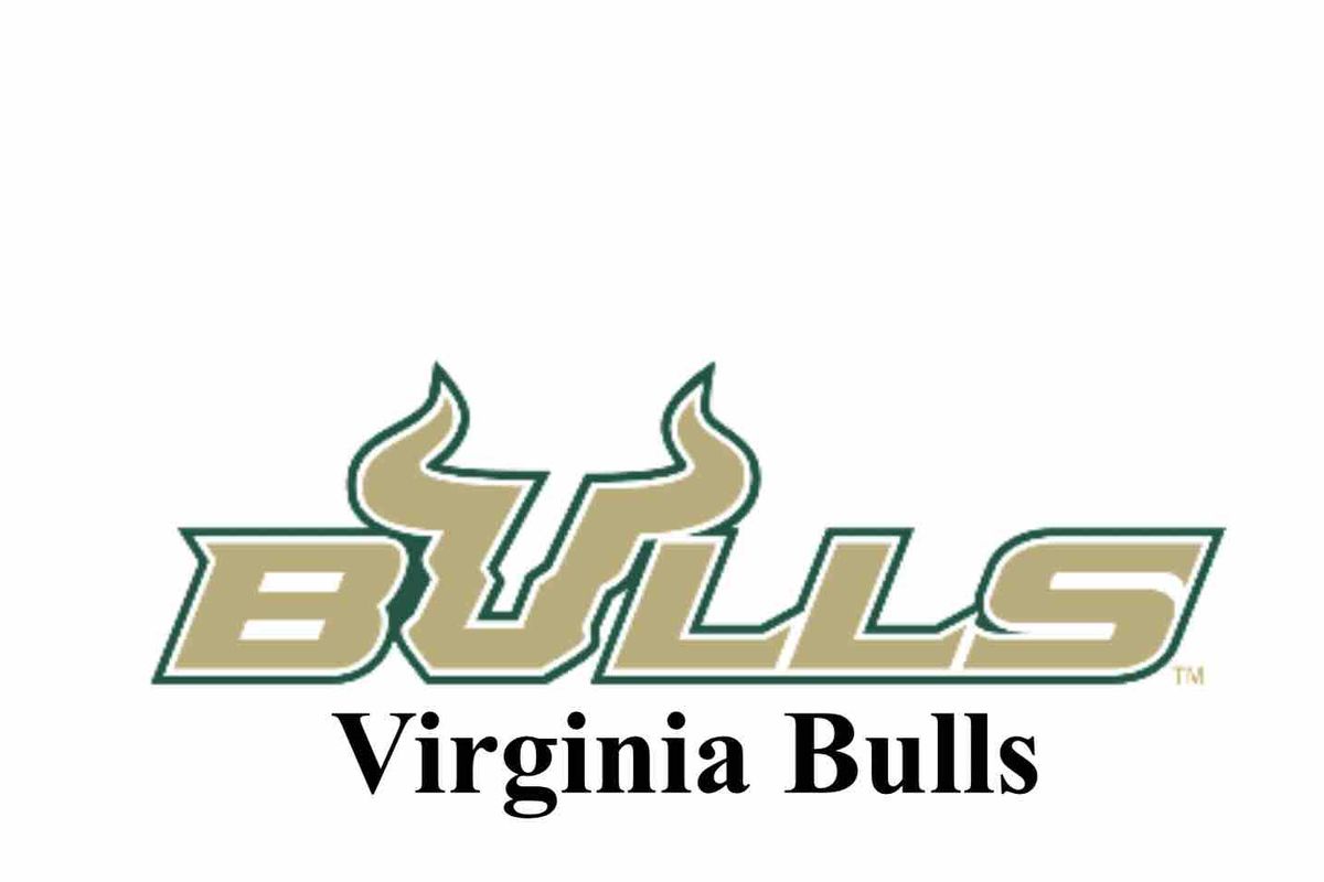 Fundraiser by Jerryd Chaney : 757 VA bulls youth football, image size:1200x800